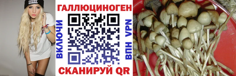 Галлюциногенные грибы GOLDEN TEACHER  Купить  Нефтегорск 